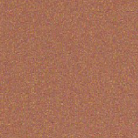 Copper Penny